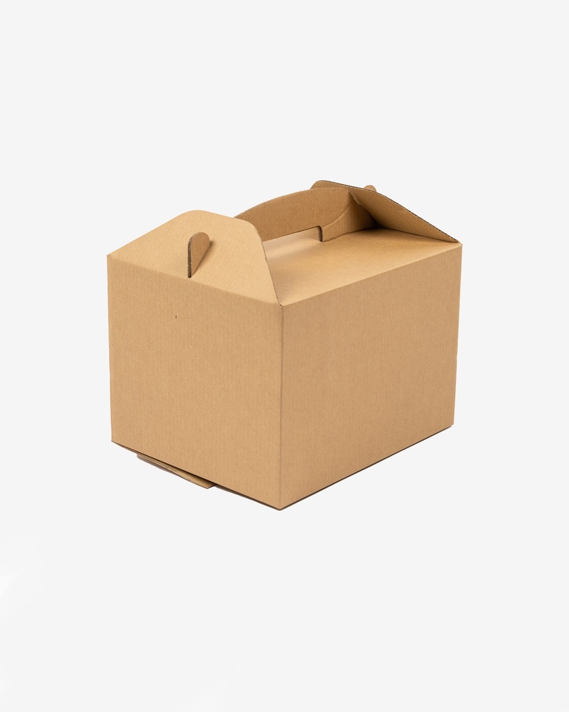 Takeaway Turkey Box