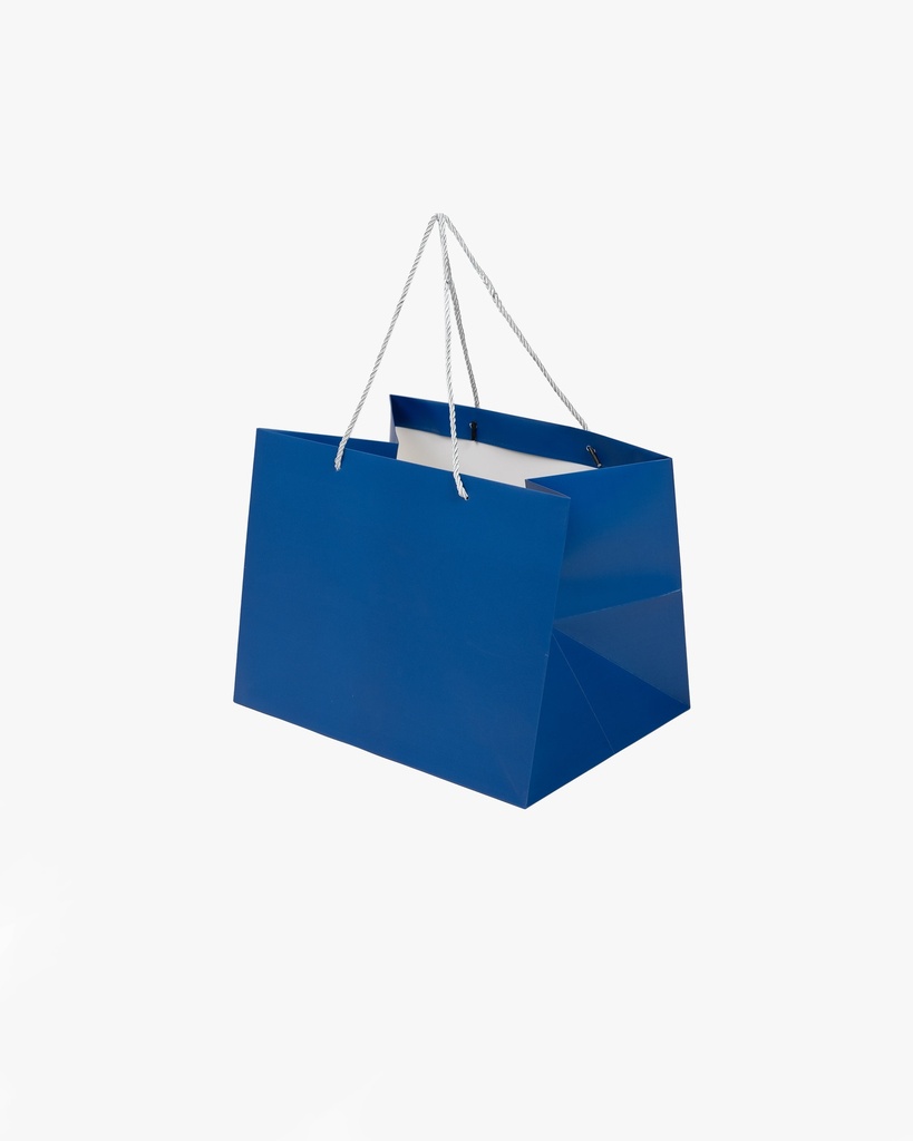 Blue Matte Laminated Paper Bag with Champagne Coloured Rope Handle