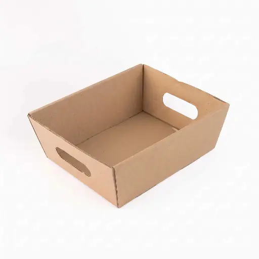 [CTNSR3025] Hamper Tray