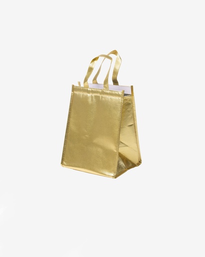 [IB2622G] Insulation Bag with Velcro Closure