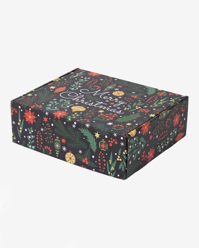 [CTNPM3128P] Mailing Box, Merry Christmas